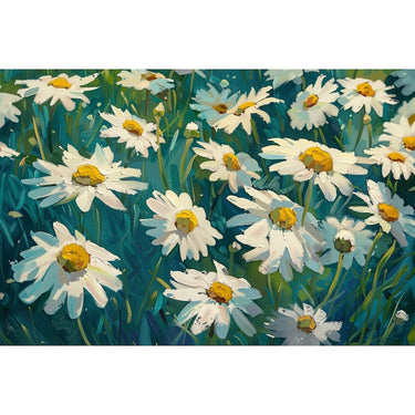 Peinture de Marguerites Blanches